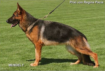 Picture of Prixi von Regina Pacis