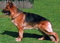 Picture of Athos v. Hambachtal