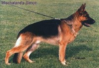 Picture of Mischaland's Simon