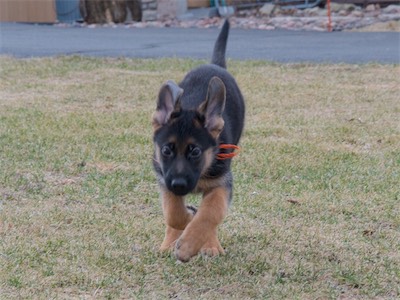 Orange, beofre heading to her new home.