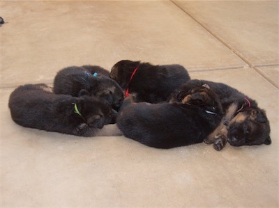 Naptime, again!