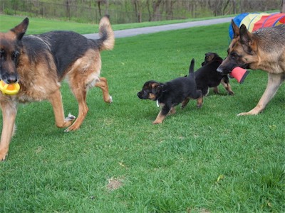 White leading mom Balti after Aunt Lotta