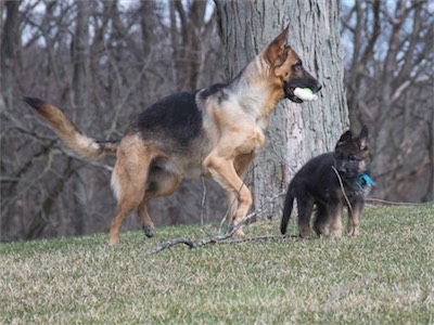 Rain and her son Blue.