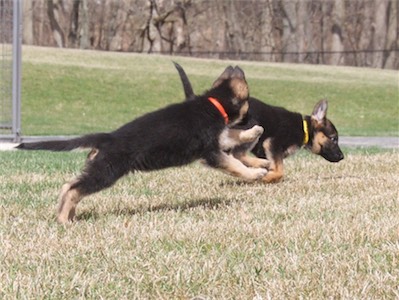 Orange and Yellow running together.