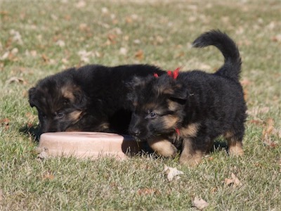 Now the boys are checking out the planter base.