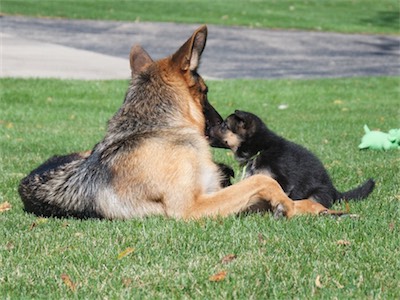 Green playing with his mom.