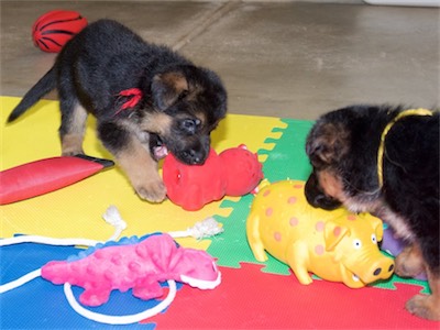 Red and Yellow plaing with a couple of larger toys.